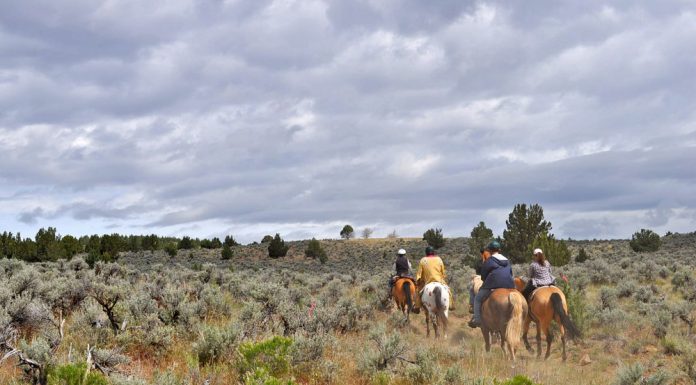 Group trail riding in Oregon