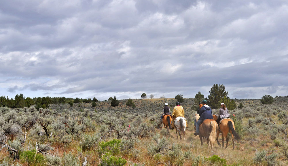 Group trail riding in Oregon