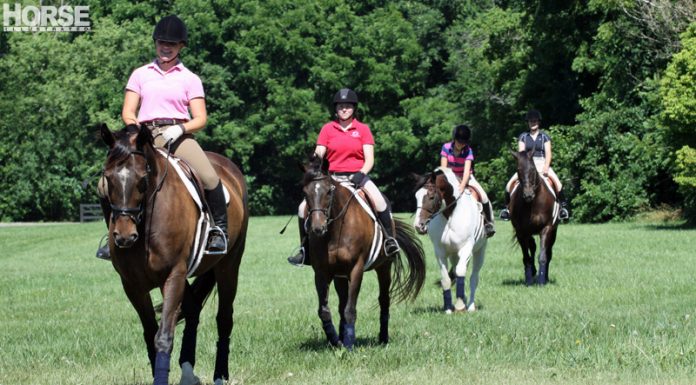 trail ride english mc