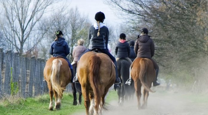 english trail ride