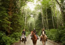 Competitive trail riders will help horses in need in 2013 Trail ride
