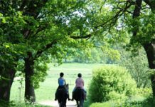 Proposed budget amendment would strip government funding of the Recreational Trail Program trail ride girls