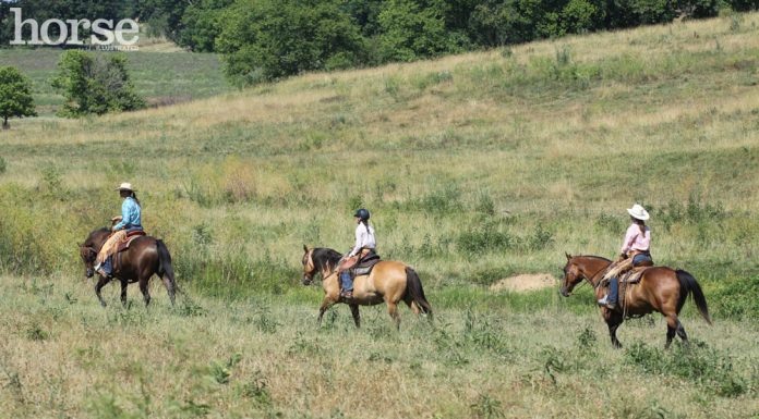 group of trail riders in an open field