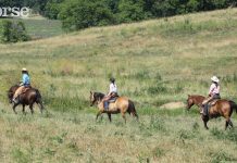 group of trail riders in an open field