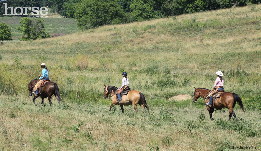Group of trail riders in an open field