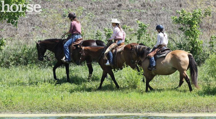 trail ride pond