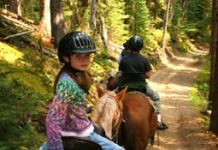 Equestrian Helmet Bill Moves Forward in Florida trail ride