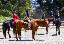 The Group Trail Checklist trail riders checklist