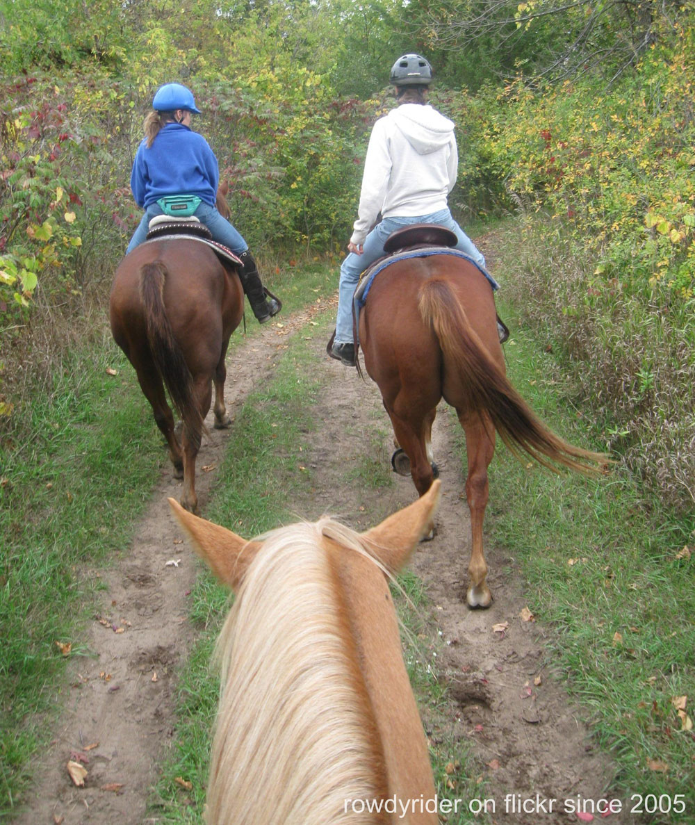 Horses and riders on a trail ride