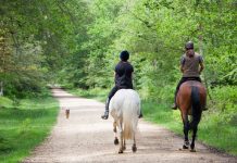 Trail riding with a dog