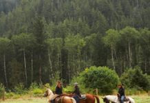trail riding mountains