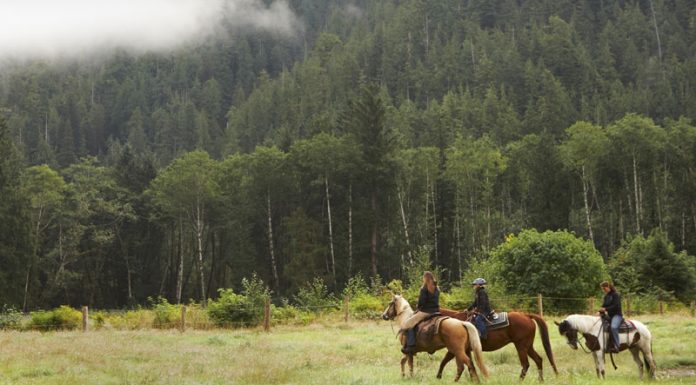 Group of trail riders in the mountains