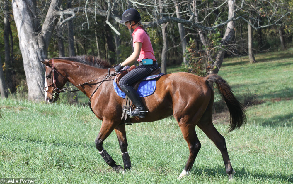 Trail Riding Safety for the No-Cell-Signal Zone