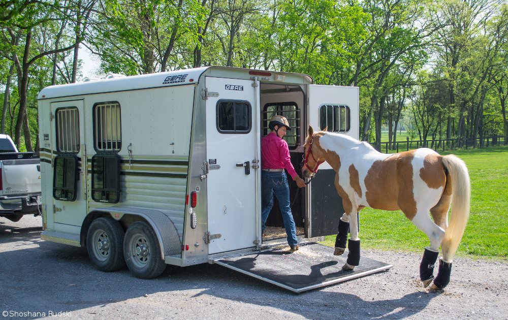 Loading a horse on the trailer