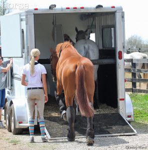 Don’t Own a Horse Trailer? Here’s What to Do.