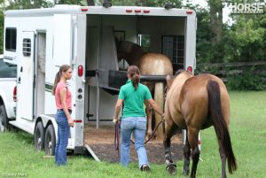 What Your Horse Needs to Know Before Getting in a Trailer