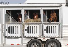 Horse trailer