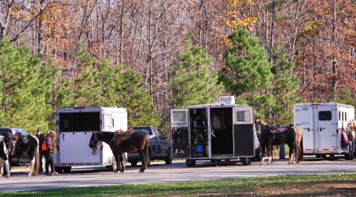 Horse trailers parked at a trailhead