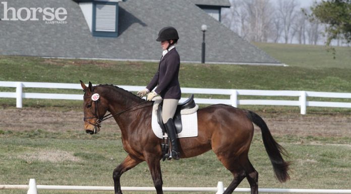 training dressage trot
