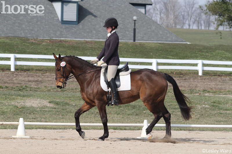 Posting or Sitting the Trot at Training Level