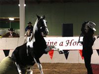 Celebrities, horses and hypocrisy trick horse