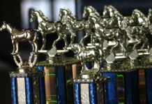 United States Equestrian Federation announces mid-year rule changes trophies