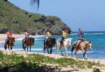 tropical trail rides