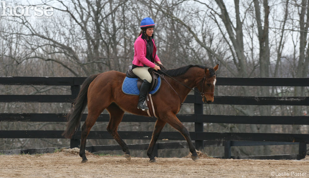 Off-track Thoroughbred being schooled at a trot