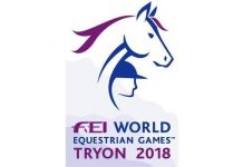 FEI world equestrian games logo