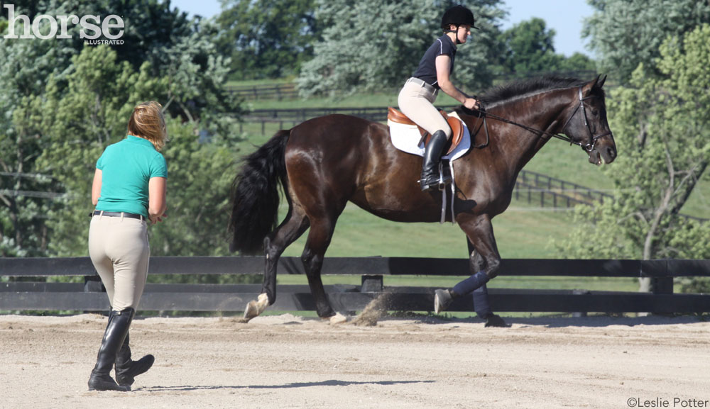 Horseback riding lesson