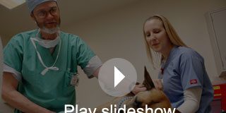 uc davis slide screenshot