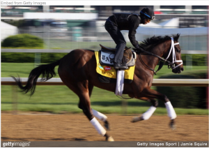 Horses to Watch in the 2016 Preakness Stakes