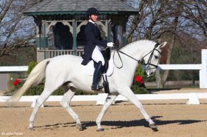 Watch the U.S. Dressage Finals Live Online