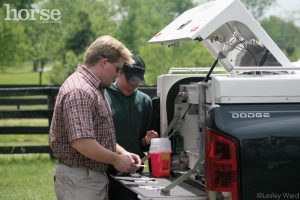 Vaccination Frequency for Horses