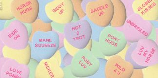 horse valentine hearts