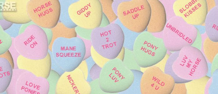 horse valentine hearts