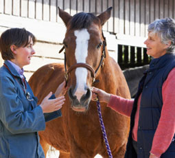 Equine vet with horse owner