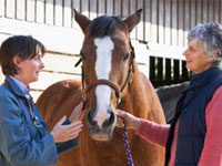 vet horse owner