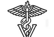 Post Mortem Results in on Red Hills Horse Trials Deaths vet symbol