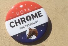 California Chrome for President vote chrome for president