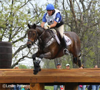 horse jumping