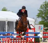 horse jumping