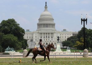 Anti-Soring Bill at Risk as Congressional Term Winds Down