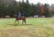 walking workout video