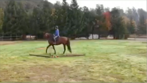 walking workout video