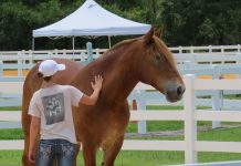 warriors in transition