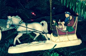 Over the Fence: Sleigh Riding