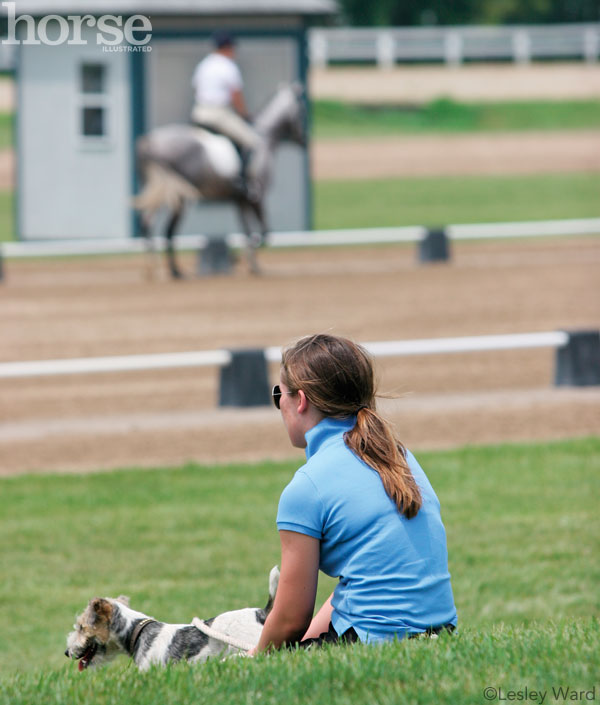 Spectator and dog watching a horse show