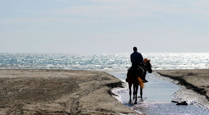 water crossing beach