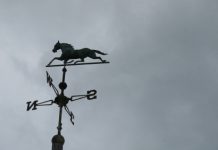 Tips for Horse Owners to Prepare for Hurricane Season weathervane